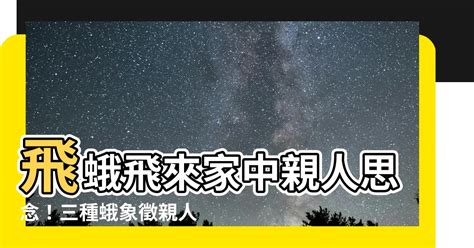 飛蛾 親人|【飛蛾 親人】飛蛾飛來家中親人思念！三種蛾象徵親人想念子女